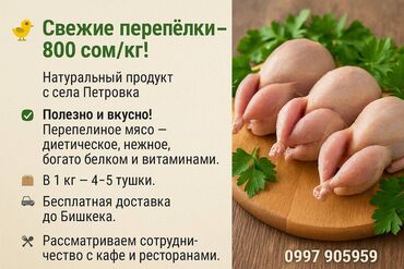 мясо баранина цена бишкек 2023 год: Перепел :, До 1 кг, 1 кг, 2 кг