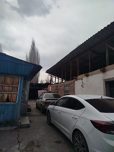 Продажа коттеджей и домов: Продается дом в г. Кара балта 17,5 соток. Мы посадили осенью новый — 5