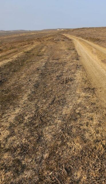 Torpaq sahələrinin satışı: 54 sot, Kənd təsərrüfatı, Maklerlər narahat etməsin, Kupça (Çıxarış) — 7
