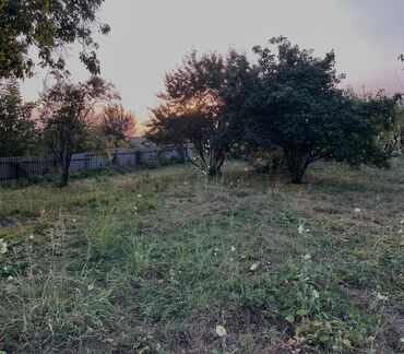 Torpaq sahələrinin satışı: 10 sot, Tikinti, Mülkiyyətçi, Kupça (Çıxarış) — 3