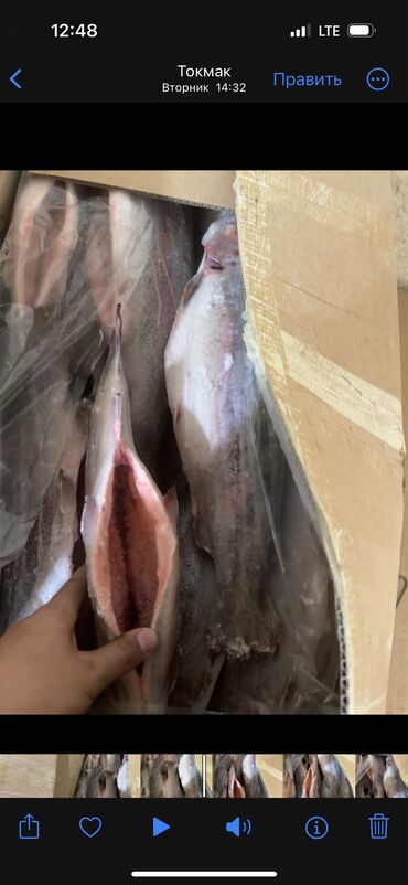 кормовая соль для животных: Продаю форель в шоковой заморозке Любой объем есть доставка на