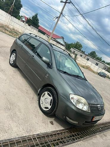 ветровик тойота ист: Toyota Corolla: 2004 г., 1.6 л, Механика, Бензин, Универсал — 3