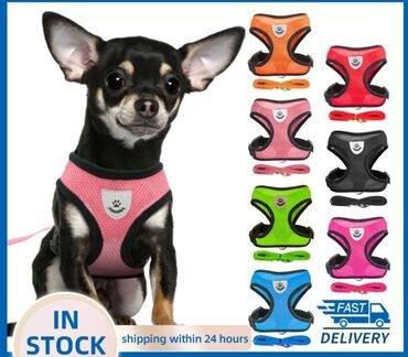 шлейка для собаки: Широкие шлейки с поводком для собак и кошек. Качество отличное