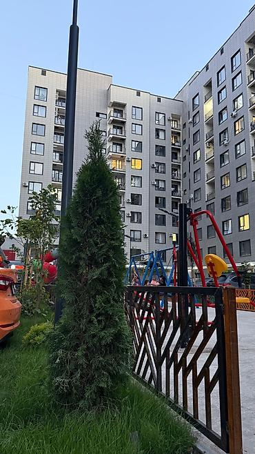 Долгосрочная аренда квартир: 1 комната — 31