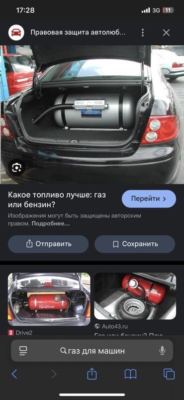 растения комнатные в ассортименте: ГБО