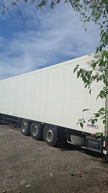 schmi̇tz: Рефрижераторный полуприцеп Schmitz Cargobull - Тип — 3