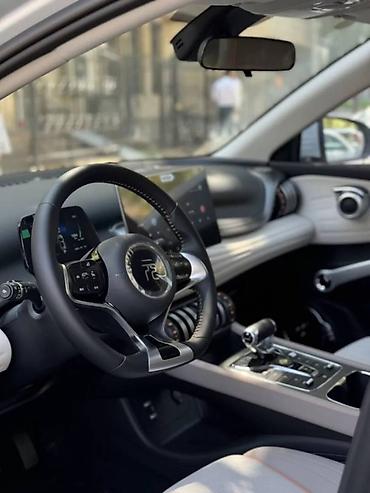 BYD: BYD : 2024 г., Электромобиль, Кроссовер — 4