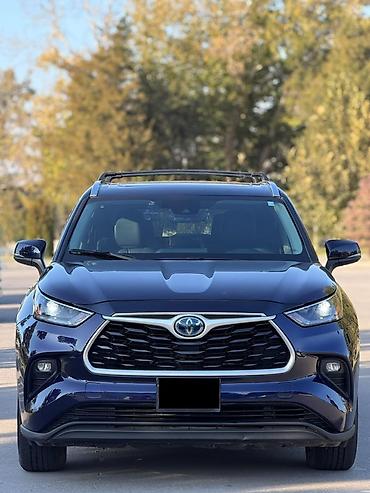 продаю хайландер: Toyota Highlander: 2020 г., 2.5 л, Автомат, Гибрид, Кроссовер — 1