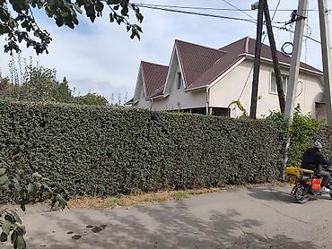 Үйлөр: 6 бөлмө жана андан көп, 320 м², 10000 соток, Бишкек, Баялинов / Орозбеков көч. Менчик ээси — 5