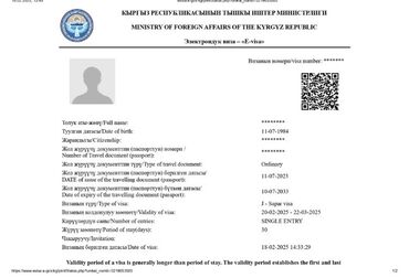 купить дом в бишкеке строка: Оформление электронной визы в Кыргызстан (e-visa) Описание услуги: -