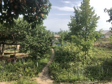 купить дом в деревне лнр недорого: Дача, 20 м², 1 комната, Собственник