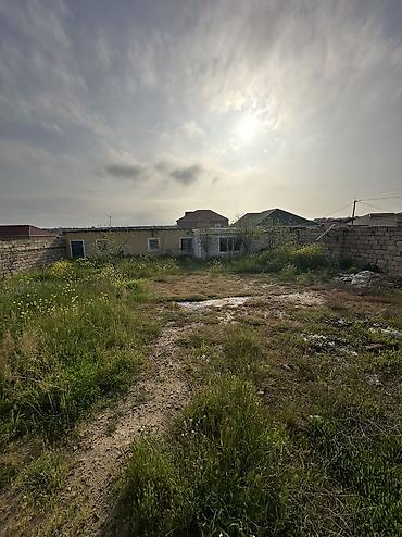 baki torpaq: 6 sot, Tikinti, Maklerlər narahat etməsin, Kupça (Çıxarış) — 3