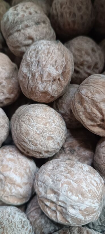 древесина ореха цена: Грецкий орех сатылат.

баасы 

тел