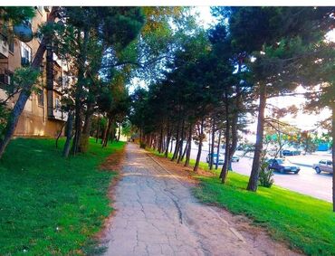 Köhnə tikili: Bakı, 2 otaqlı, Köhnə tikili, m. Əhmədli, 60 kv. m — 11