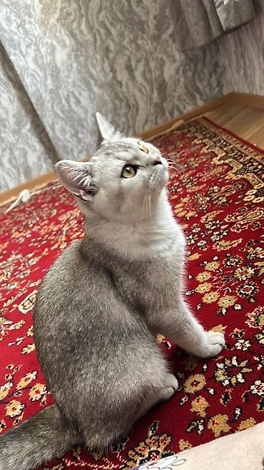 Erkək, Yaxşı əllərə, Ünvandan götürmə