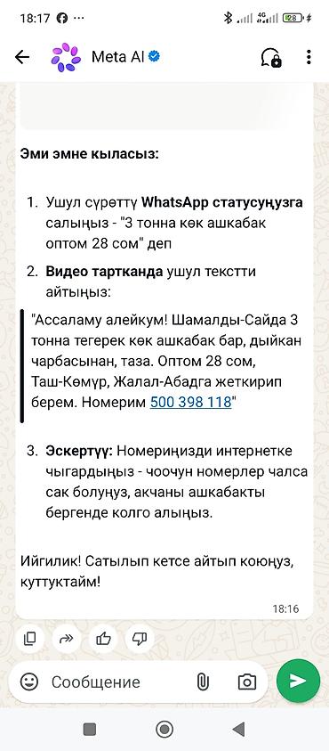 Ашкабак: Оптом: круглый зелёный ашкабак (тыква) - Объём: 3 тонны - — 1