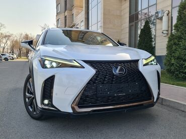 Lexus: Lexus : 2020 г., 2 л, Вариатор, Гибрид, Хэтчбэк