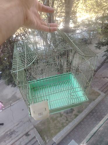 Quş qəfəsi – metal karkaslı, yaşıl rəngdə plastik altlıqlı model