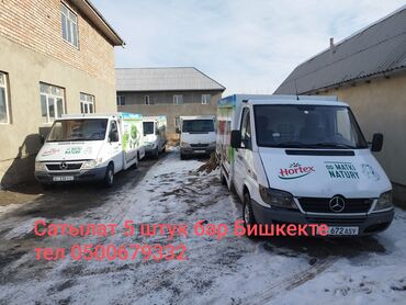 mercedesbenz sprinter холодилник: Жеңил жүк ташуучу унаа, Mercedes-Benz, Стандарт, Колдонулган