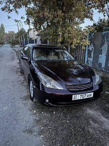 camry 2 4: Toyota Windom: 2003 г., 3 л, Автомат, Седан — 1