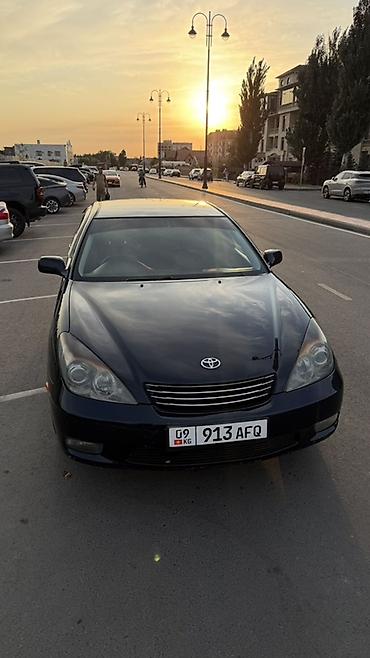 mark 3: Toyota Windom: 2003 г. — 3