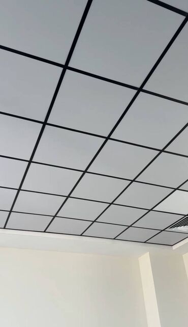 Натяжной потолок: ПОДВЕСНЫЕ ПОТОЛКИ ГРИЛЬЯТО, АРМСТРОНГ И РЕЕЧНЫЙ ПОТОЛОК На любой — 13