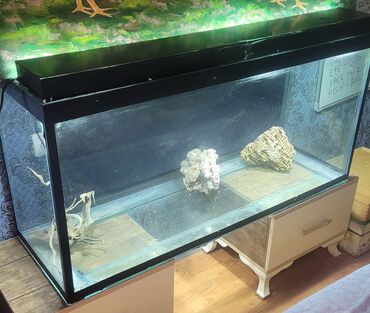 Akvariumlar: Akvarium cox kefiyetli qalin suedendir.uzunlugu 125 sm en 40sm