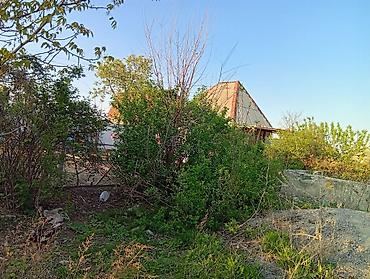 Продажа домов: Дача, 20 м², 2 комнаты, Собственник — 5