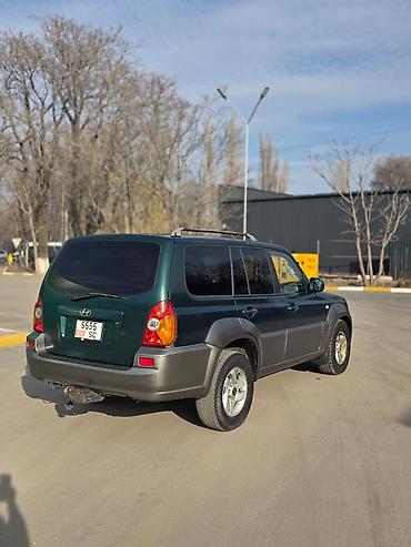 Hyundai: Hyundai Terracan: 2004 г., 2.9 л, Механика, Дизель, Внедорожник — 5