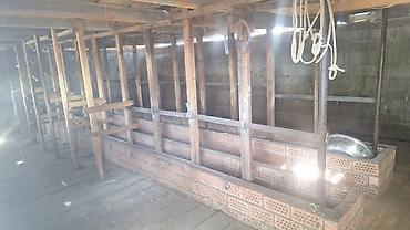 Продажа сельхоз предприятий: Сарай/коровник для КРС - Размер: 13,6 м (длина). - Вместимость — 3