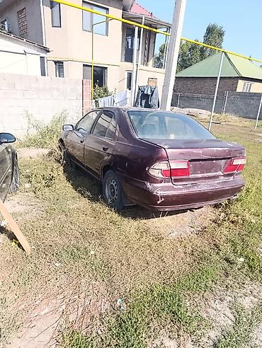 Datsun: Nissan Sunny: 1995 г., Седан — 2