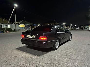 belarus 892 2: Mercedes-Benz S-Class: 1996 г., 4.2 л, Автомат, Газ, Седан — 7