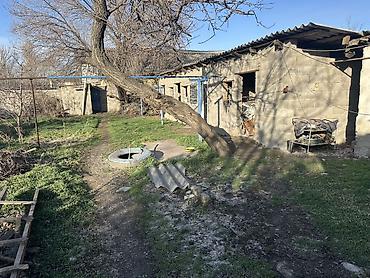 Аренда помещений свободного назначения: Сдаю дом по 1 линии Алматинская 171 район ГЭС 2 3 фаска есть 2 at lalafo.kg — 12 Аренда помещений свободного назначения: Сдаю дом по 1 линии Алматинская 171 район ГЭС 2 3 фаска есть 2 — 12