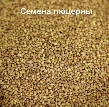 офисный набор: Полипропилен Кап