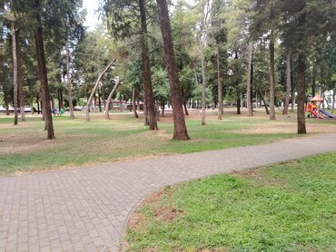 Stilske umetničke slike: Umjetničke slike – set digitalnih ilustracija - Kolekcija od tri — 16