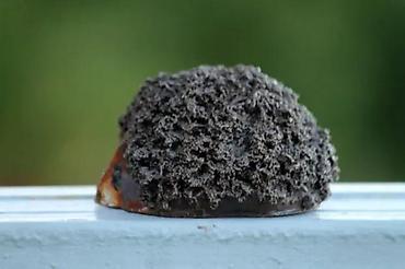 Figure: JEŽ vintage umetnička keramika. Umetnička keramika. Dimenzije cca: 8 x — 11