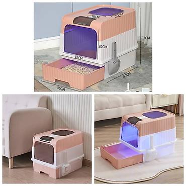 Зоотовары: ПРОДАЮ КОШАЧЬЮ МЯТУ(АНТИСТРЕСС),ПОРАДУЙТЕ СВОГО КОТИКА ТАКОЙ — 17