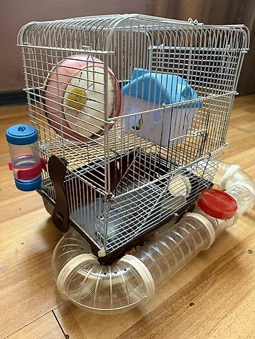 Зоотовары: Hamster üçün tam dəst 2 mərtəbə qəfəs - Metall karkaslı, çıxarılan — 2