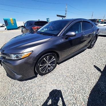 camry 5: Toyota Camry: 2018 г., 2.5 л, Автомат, Бензин, Седан — 6