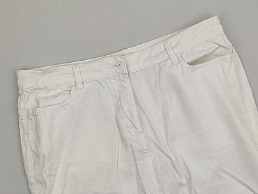miniowka: Janina, Spódnica damska, rozmiar 2XL — 1