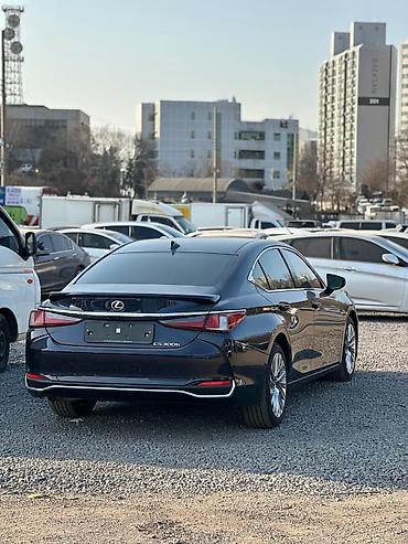 Lexus: Lexus ES: 2023 г., 2.5 л, Гибрид — 7