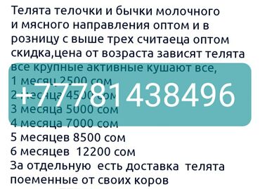 сементал симентал: Сатам | Уй (ургаачы), Бука (эркек), Кунаажын | Герефорд, Голштин, Симментал | Бордоп семиртүү үчүн, Союуга, Көбөйтүү үчүн | Асыл тукумдуу, Бооз