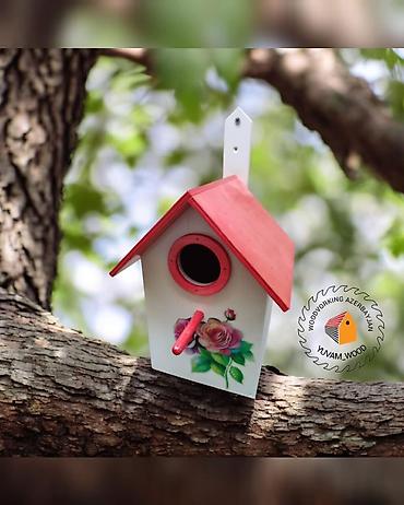 Yuvalar: Quş yuvası — 6