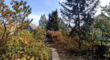 Продажа домов: Дача, 40 м², 3 комнаты, Агентство недвижимости, Косметический ремонт — 1