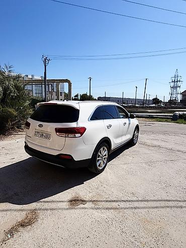 masin səkli: Kia Sorento – ağ kuzovlu, geniş və komfortlu krossover. Təcili əlim — 4