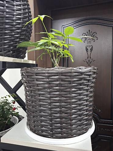 Горшки для растений: Плетёные кашпо для растений - Материал: синтетический ротанг — 18