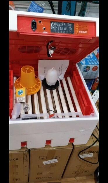 Digər quşlar: Smart-rejimli inkubatorlar satılır. Aparatlar tam olaraq avtomat, və — 4