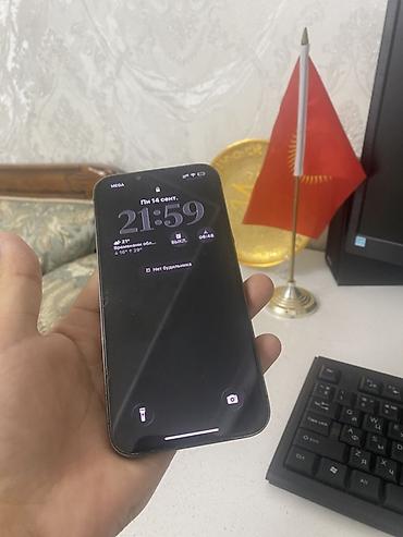 matrexx 40: IPhone 13 Pro, Б/у, 128 ГБ, Графит, Чехол, 67 % — 2