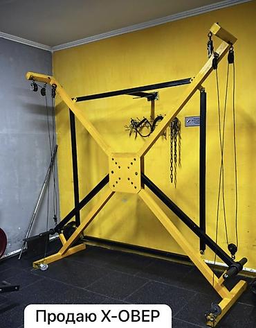 Силовые тренажеры: Силовой тренажер, Для спины — 3