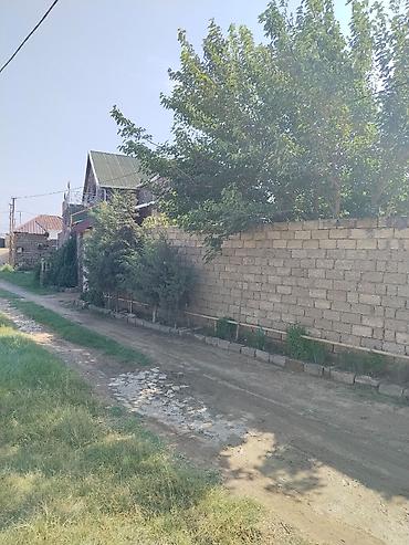 çeşqa satışı: Bakı, 600 kv. m, 3 otaqlı, Hovuzlu, Kanalizasiya, Qaz, Su — 10